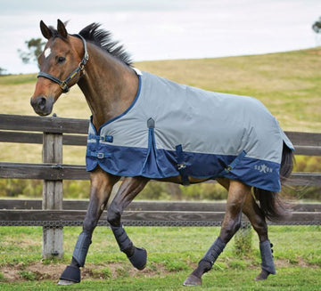 Saxon 600D Standard Neck Turnout- Lite (0g)